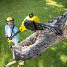 Best Lawn Mowing  in Rancho Viejo, TX